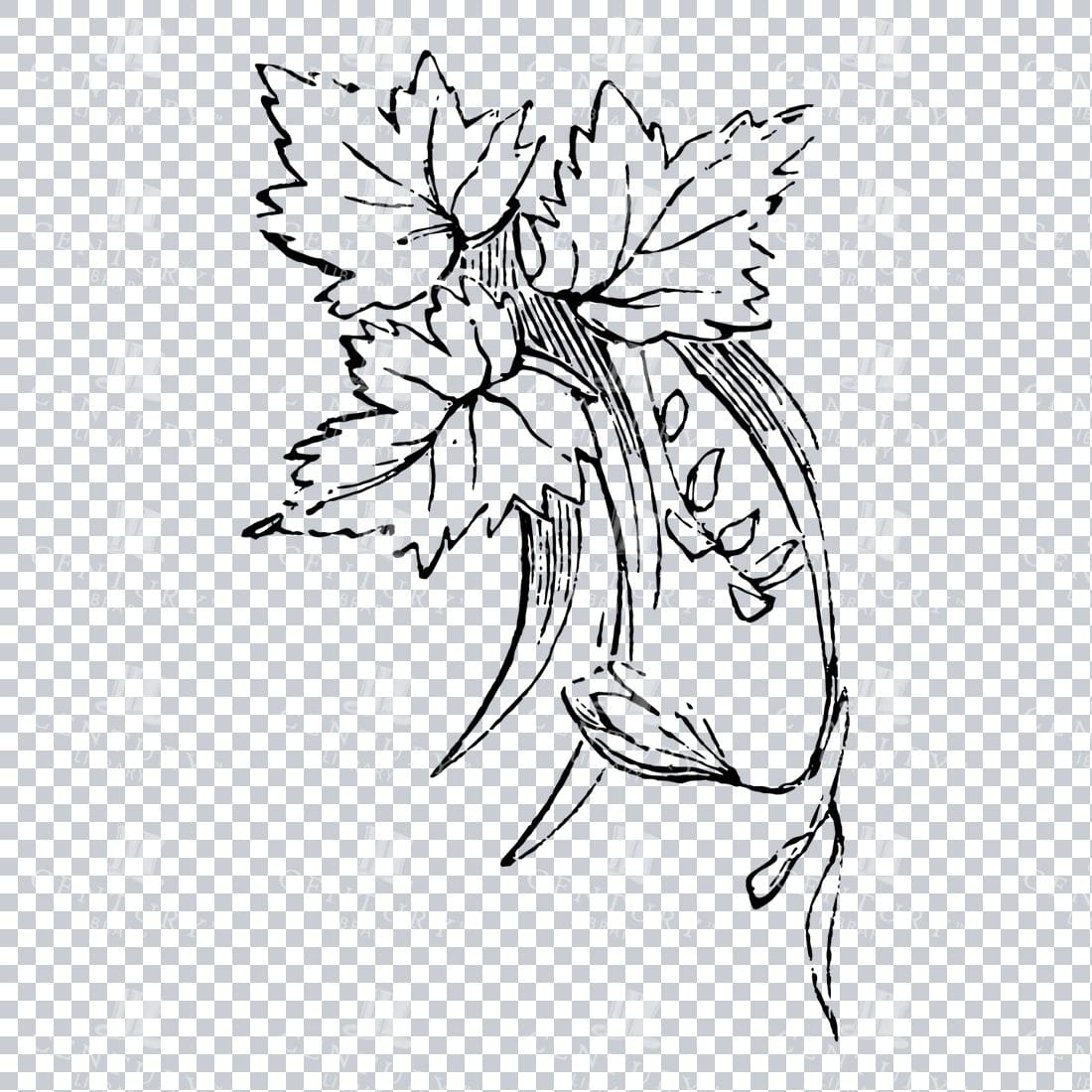 Vintage Decorative Line Art Illustration - Floral - Border - Frame - Pattern No.219