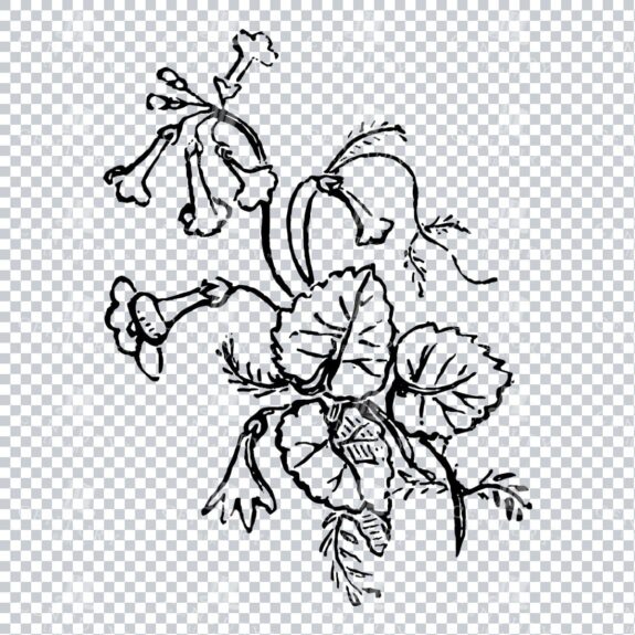 Vintage Decorative Line Art Illustration - Floral - Border - Frame - Pattern No.220