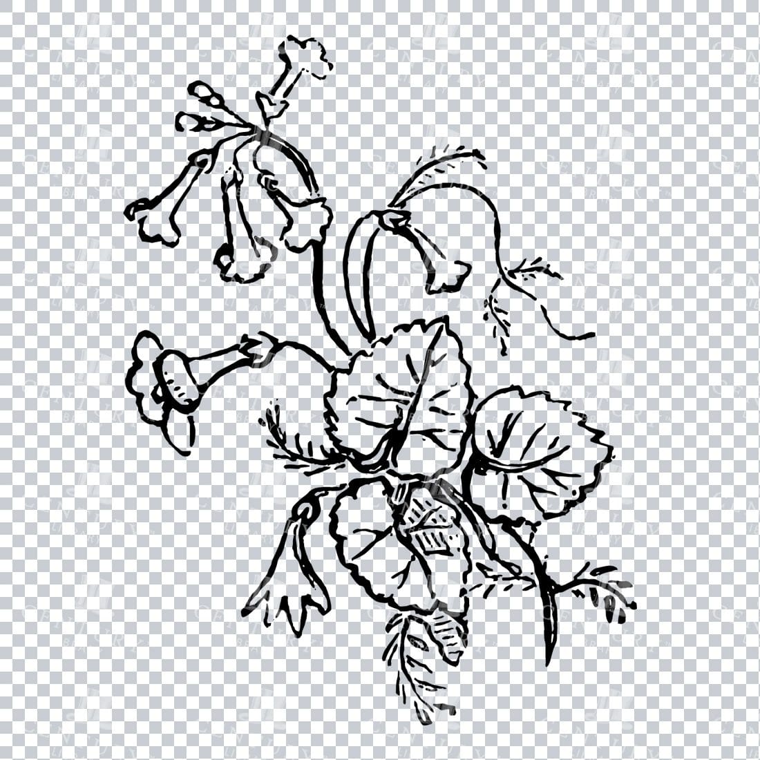 Vintage Decorative Line Art Illustration - Floral - Border - Frame - Pattern No.220