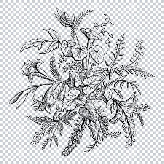 Vintage Decorative Line Art Illustration - Floral - Border - Frame - Pattern No.223