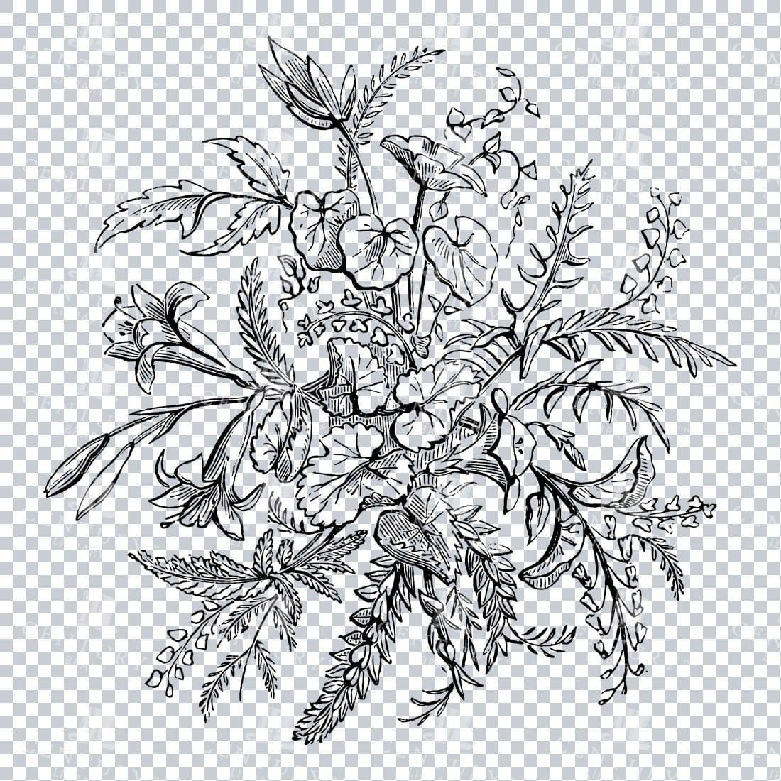 Vintage Decorative Line Art Illustration - Floral - Border - Frame - Pattern No.223
