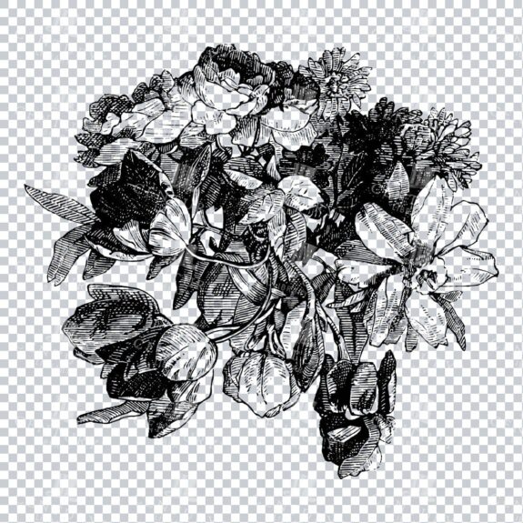 Vintage Decorative Line Art Illustration - Floral - Border - Frame - Pattern No.225