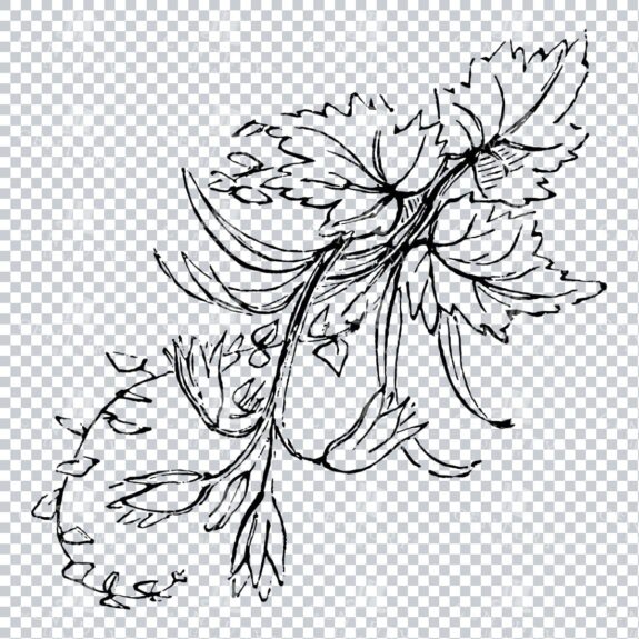 Vintage Decorative Line Art Illustration - Floral - Border - Frame - Pattern No.226