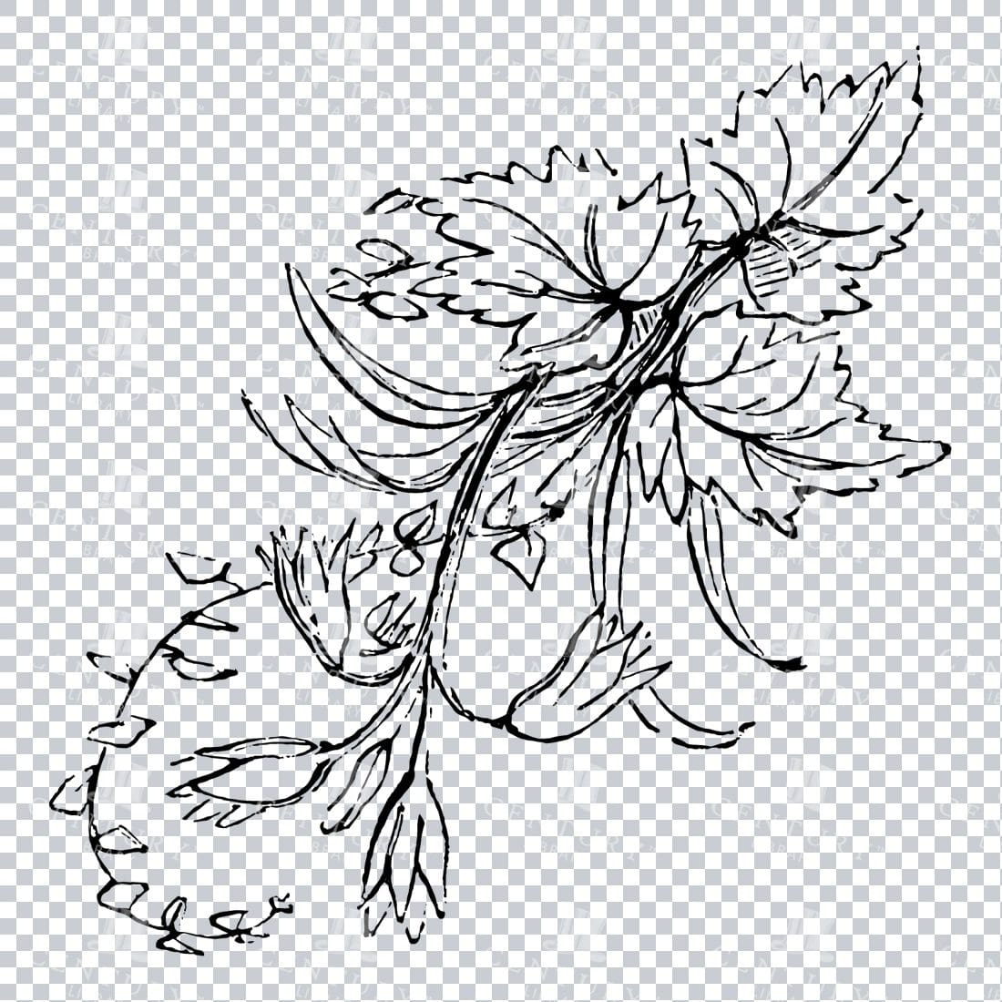 Vintage Decorative Line Art Illustration - Floral - Border - Frame - Pattern No.226