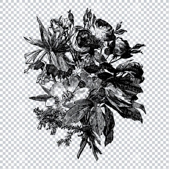 Vintage Decorative Line Art Illustration - Floral - Border - Frame - Pattern No.227