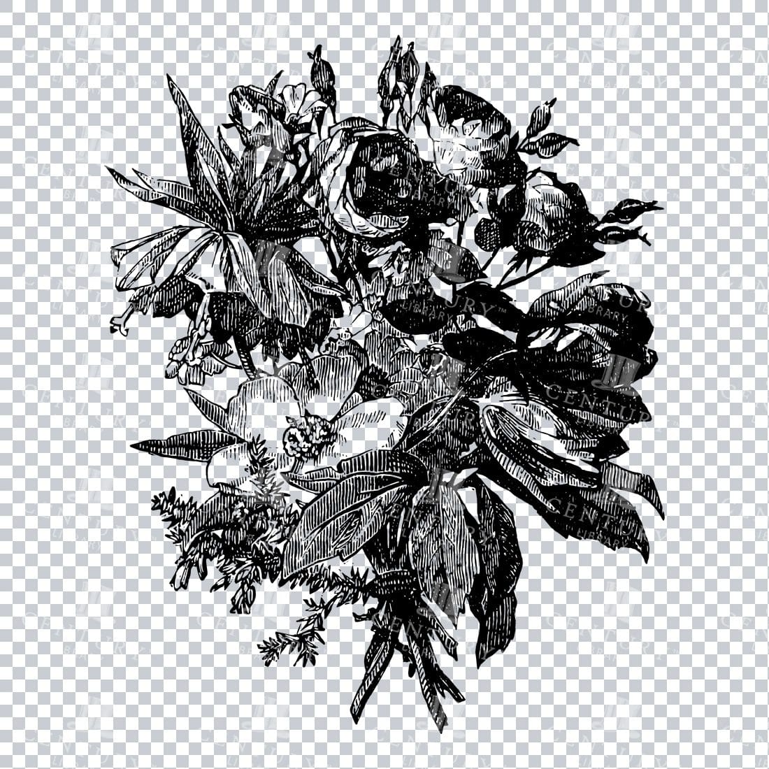 Vintage Decorative Line Art Illustration - Floral - Border - Frame - Pattern No.227