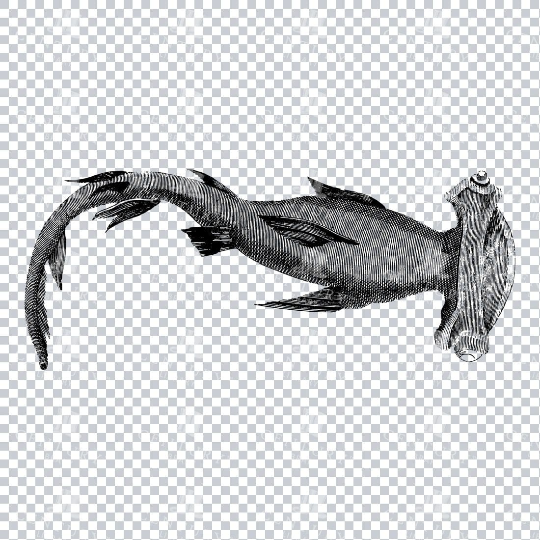 Sealife - Black and White Engraving of a Hammerhead Shark
