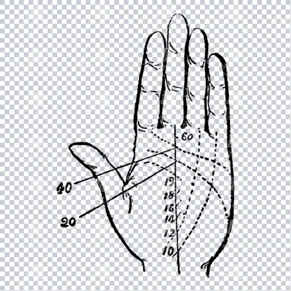 Vintage Palm Reading Illustration - Palm of Hand No.1