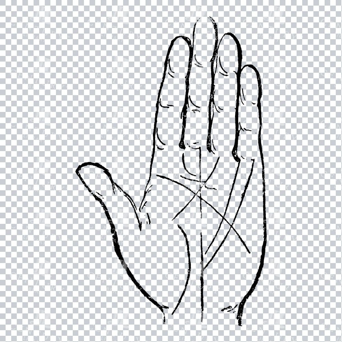 Vintage Palm Reading Illustration - Palm of Hand No.3
