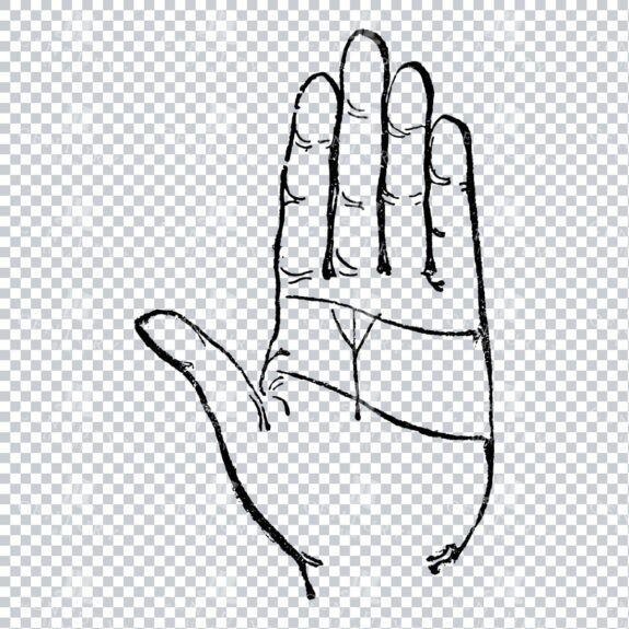 Vintage Palm Reading Illustration - Palm of Hand No.5