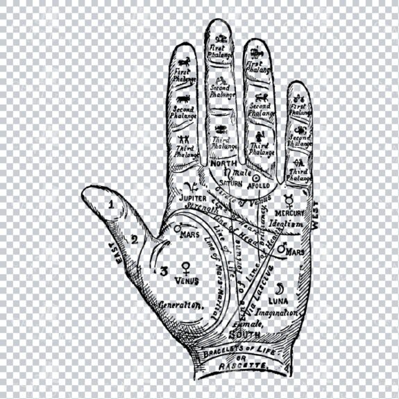 Vintage Palm Reading Illustration - Palm Of Hand No.7