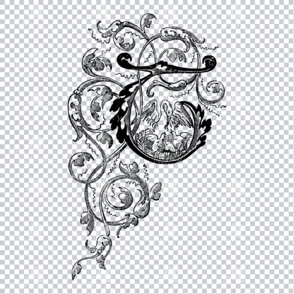 Decorative Flourished Illustration of a Drop Cap T