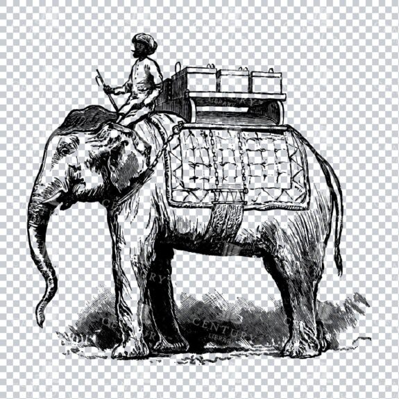 Line Art Illustration of a Man on an Elephant No.1