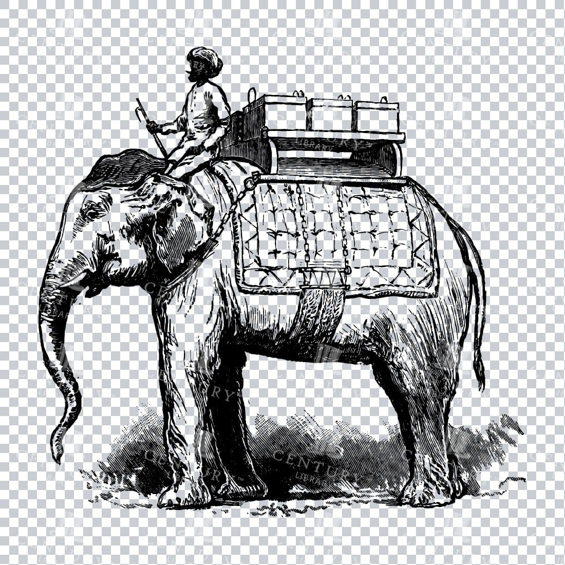 Line Art Illustration of a Man on an Elephant No.1