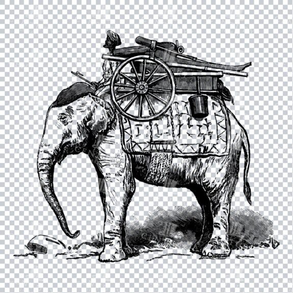 Line Art Illustration of a Man on an Elephant No.2