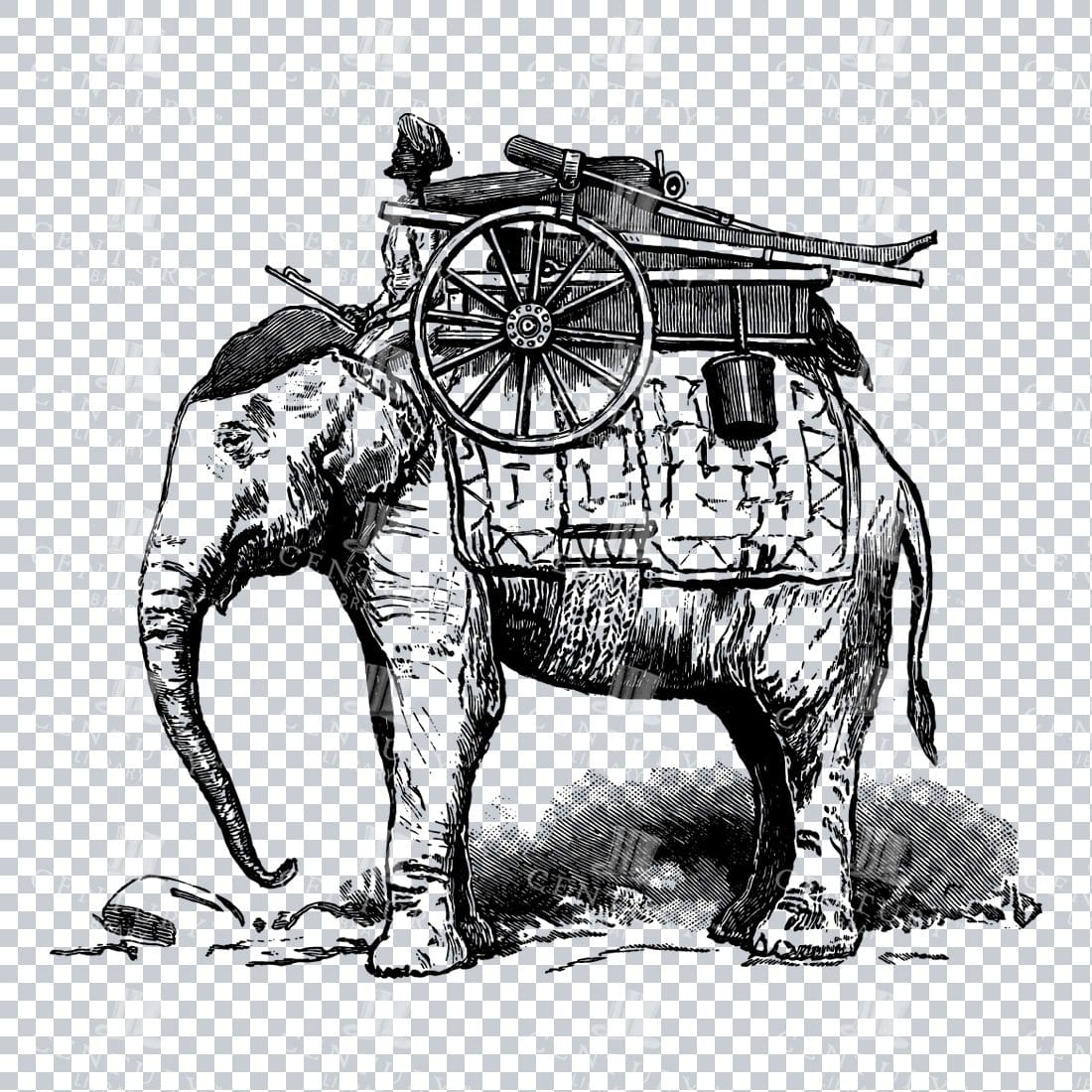 Line Art Illustration of a Man on an Elephant No.2