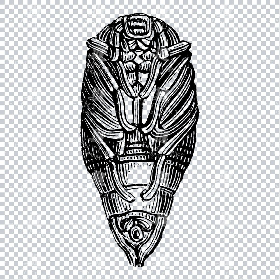 Illustration of a May Bug No.2
