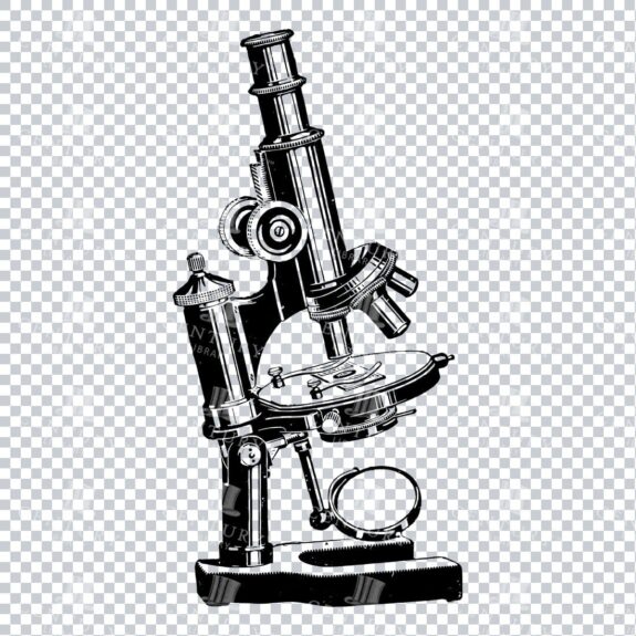 Scientific Apparatus Illustration - Microscope No.2