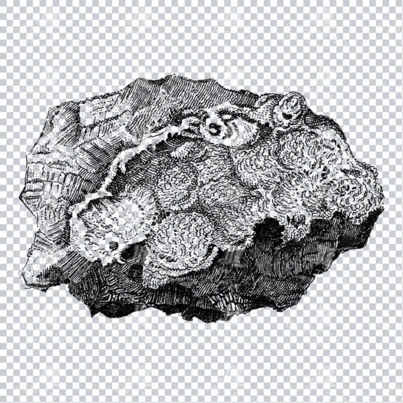 Antique Line Art Engraving Illustration - Mineralogy - Crystals - Precious Stones - No.4