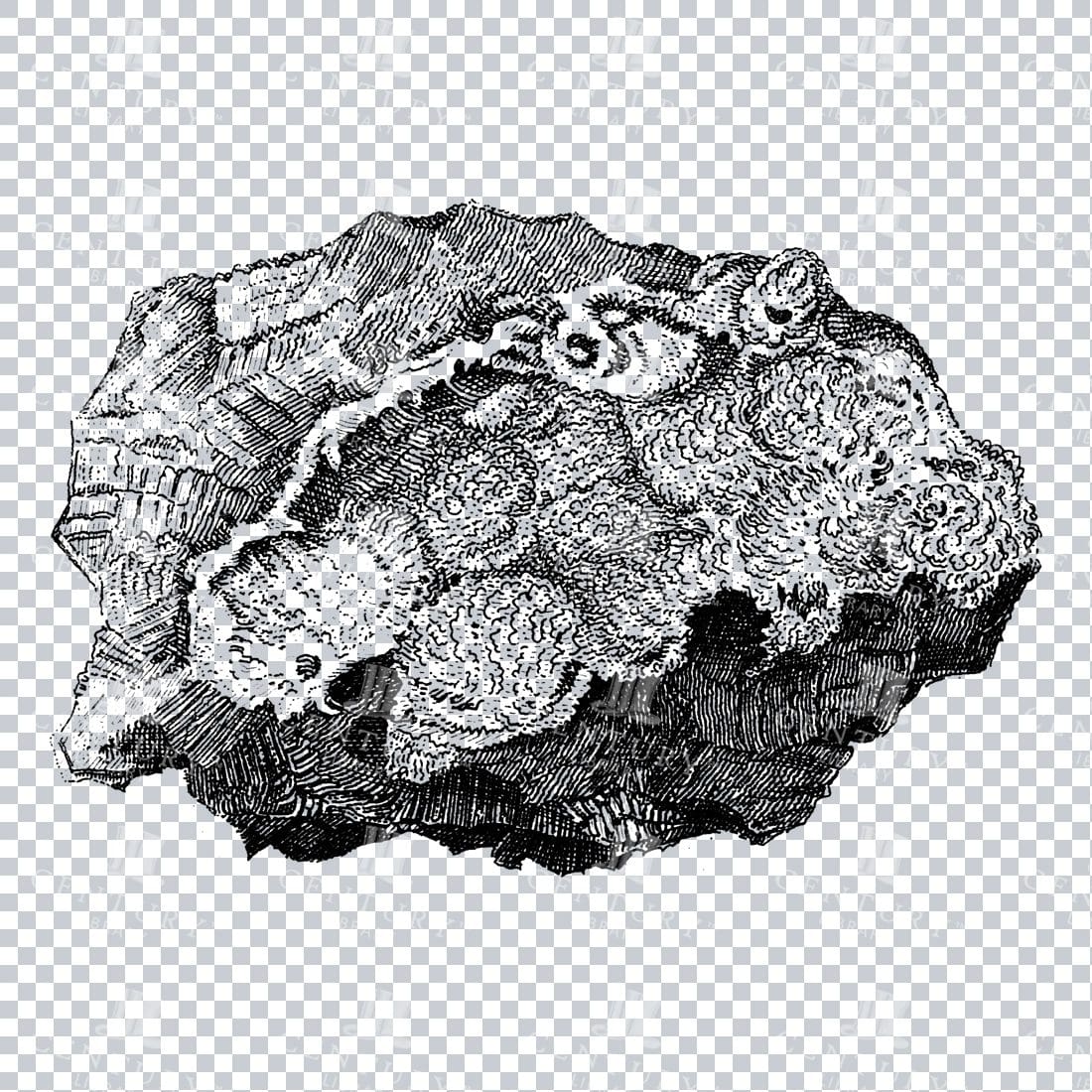 Antique Line Art Engraving Illustration - Mineralogy - Crystals - Precious Stones - No.4