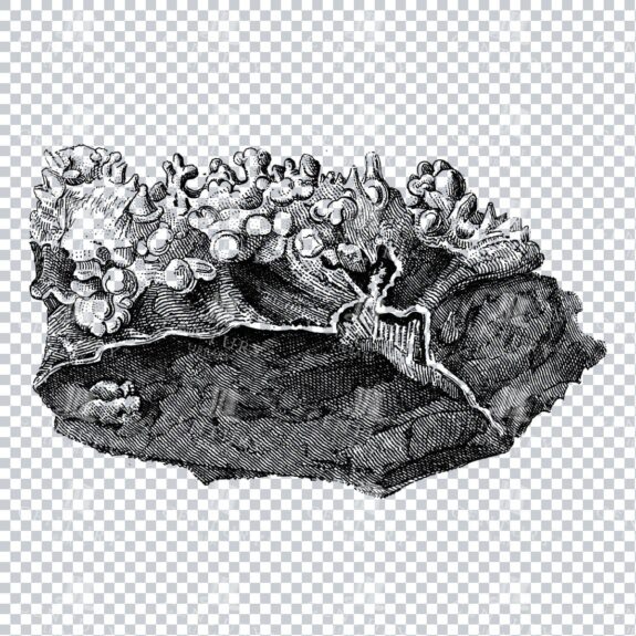 Antique Line Art Engraving Illustration - Mineralogy - Crystals - Precious Stones - No.13