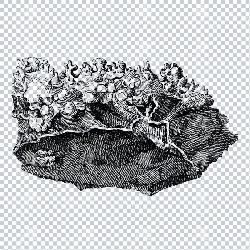 Antique Line Art Engraving Illustration - Mineralogy - Crystals - Precious Stones - No.13