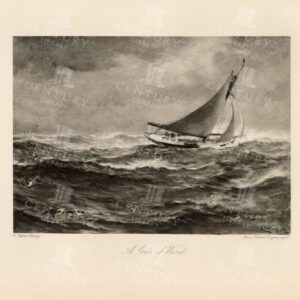 Beautiful Antique Print  - 1897 - A Gale of Wind