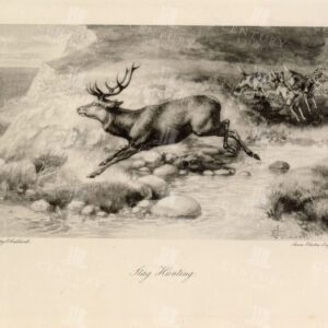 VINTAGE Sporting Print - Stag Hunting - Antique 1897