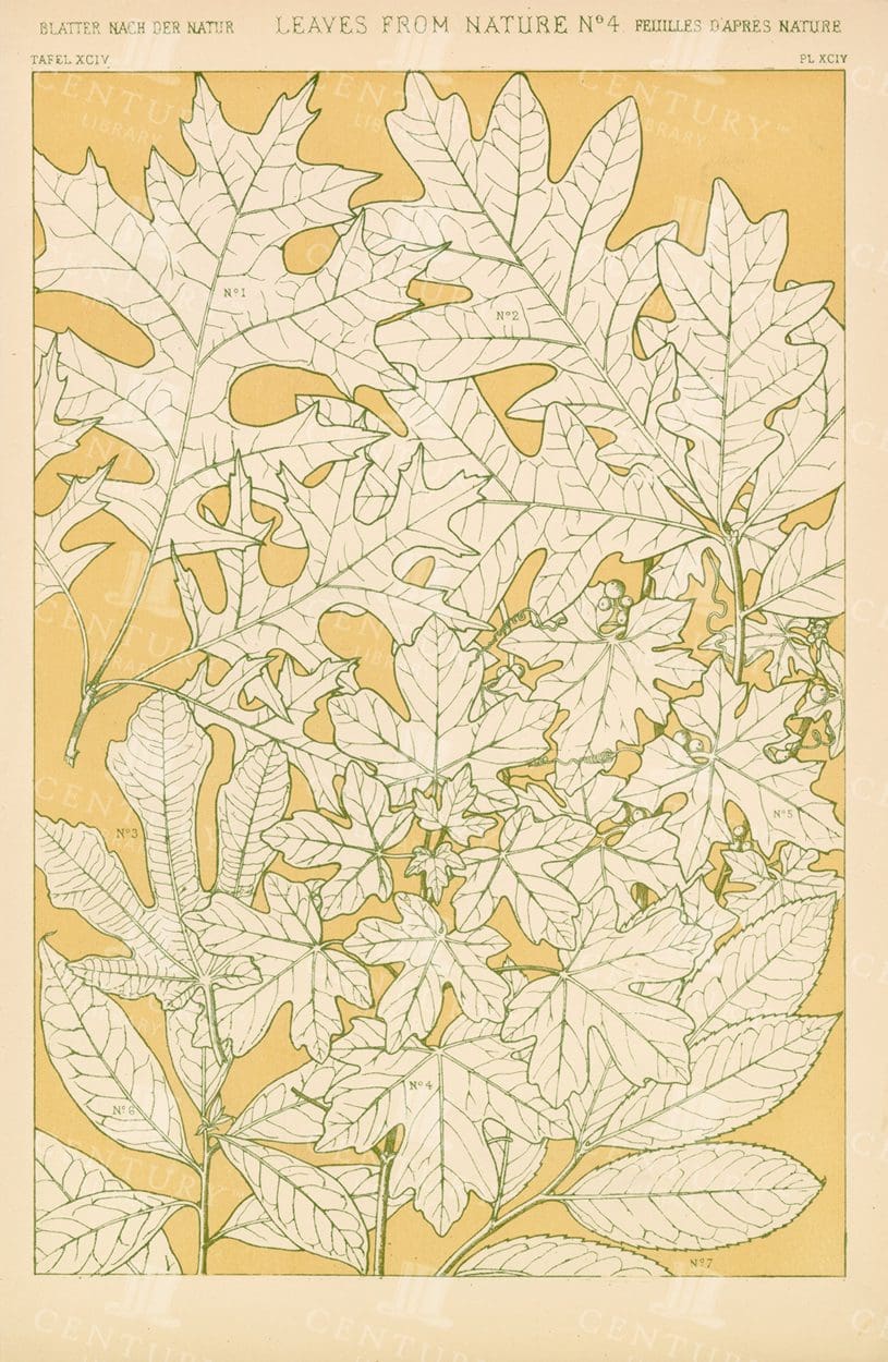 VINTAGE Botanical Print - Leaves From Nature No 4 - Antique 1865