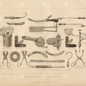 VETERINARY Instruments and Apparatus - Vintage 1896 Print