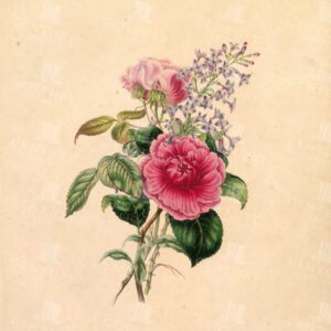 GORGEOUS Vintage Botanical Print 1830 - Flora's Gems - Bouquets