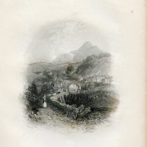 ANTIQUE 1843 Irish Landscape Illustration - Enniskerry, Wicklow