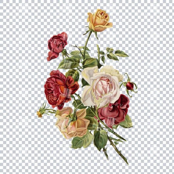 Roses In Retro: A Vintage-styled Bouquet Of Roses Artwork