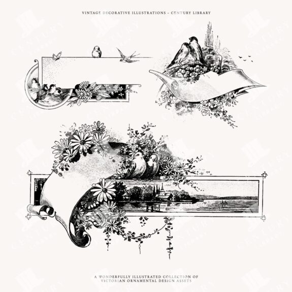 Vintage Scroll And Birds Svg Clipart - Vector Designs For Invitations And Design Projects