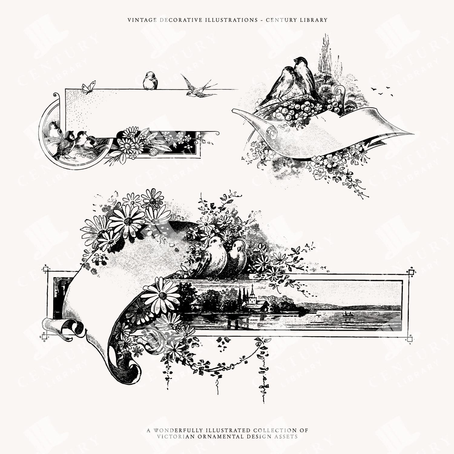 Vintage Scroll And Birds Svg Clipart - Vector Designs For Invitations And Design Projects