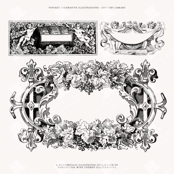 Set Of 3 Wine Label Svg Designs / Frames