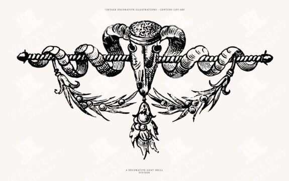 Vintage Illustration Of A Decorative Goat Skull Divider
