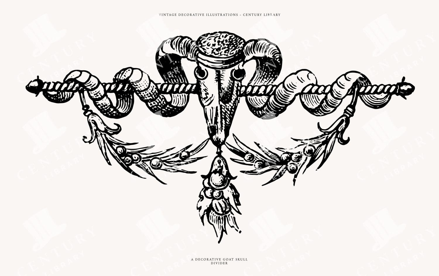 Vintage Illustration Of A Decorative Goat Skull Divider