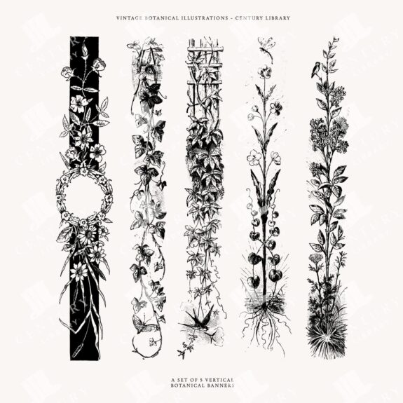 Botanical Line Divider Vector Illustrations