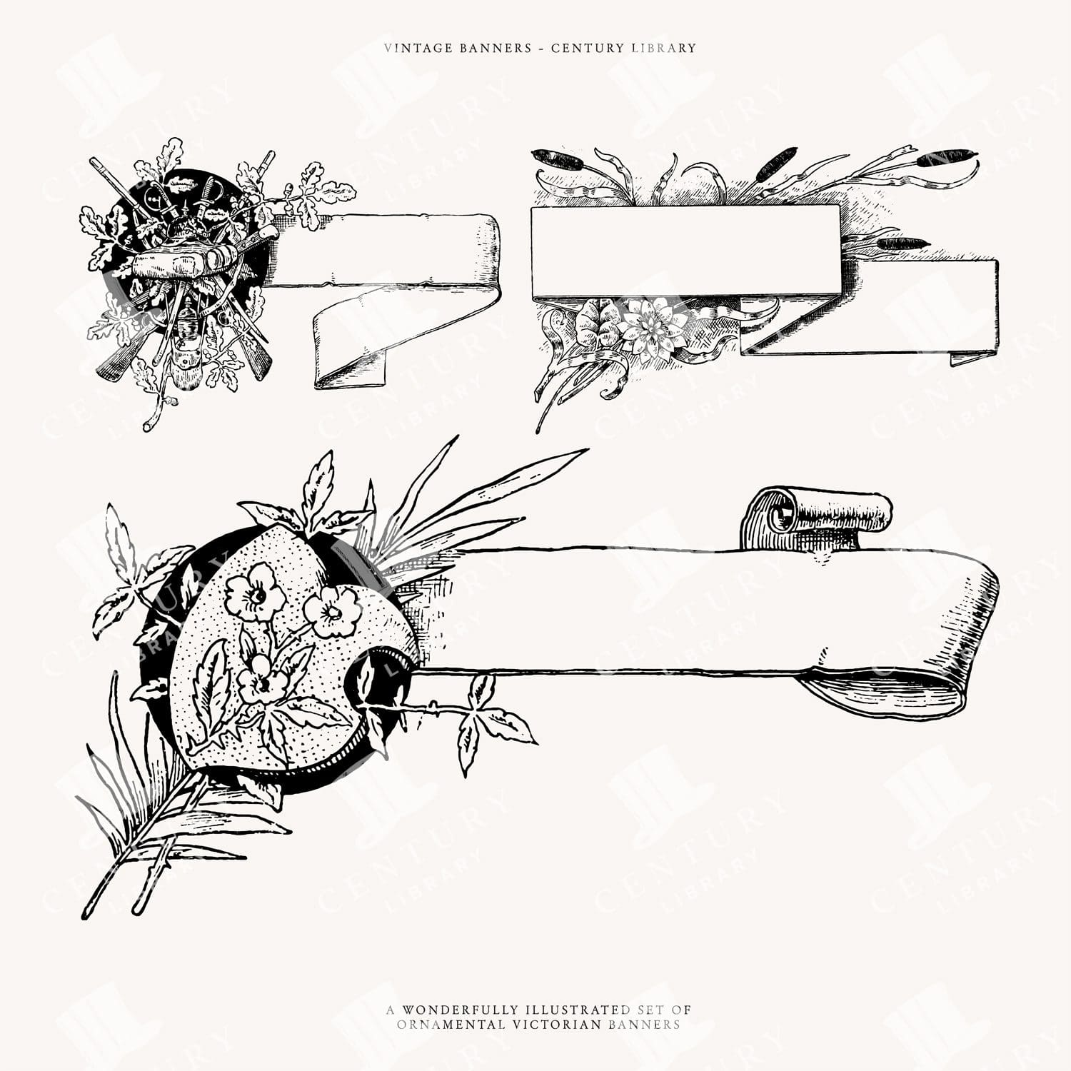 Vintage Decorative Ribbon Banner Designs
