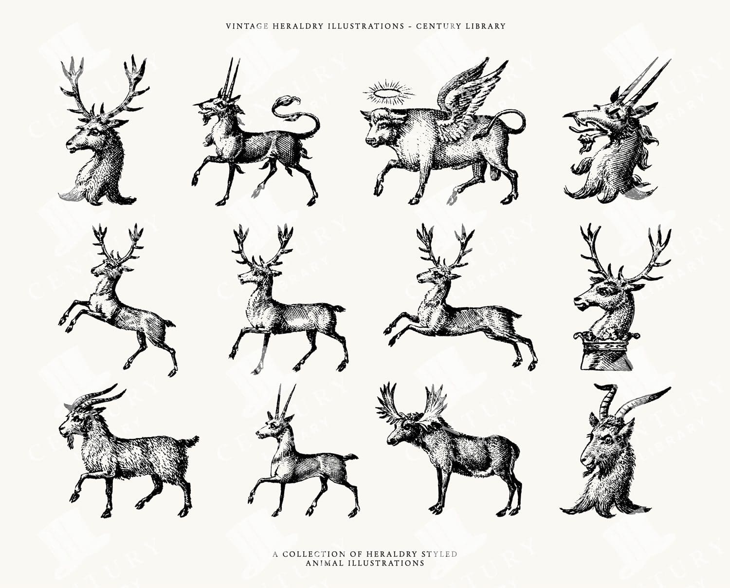 Hand Drawn Heraldry Animal Icon Illustrations In Svg, Png, And Eps Format