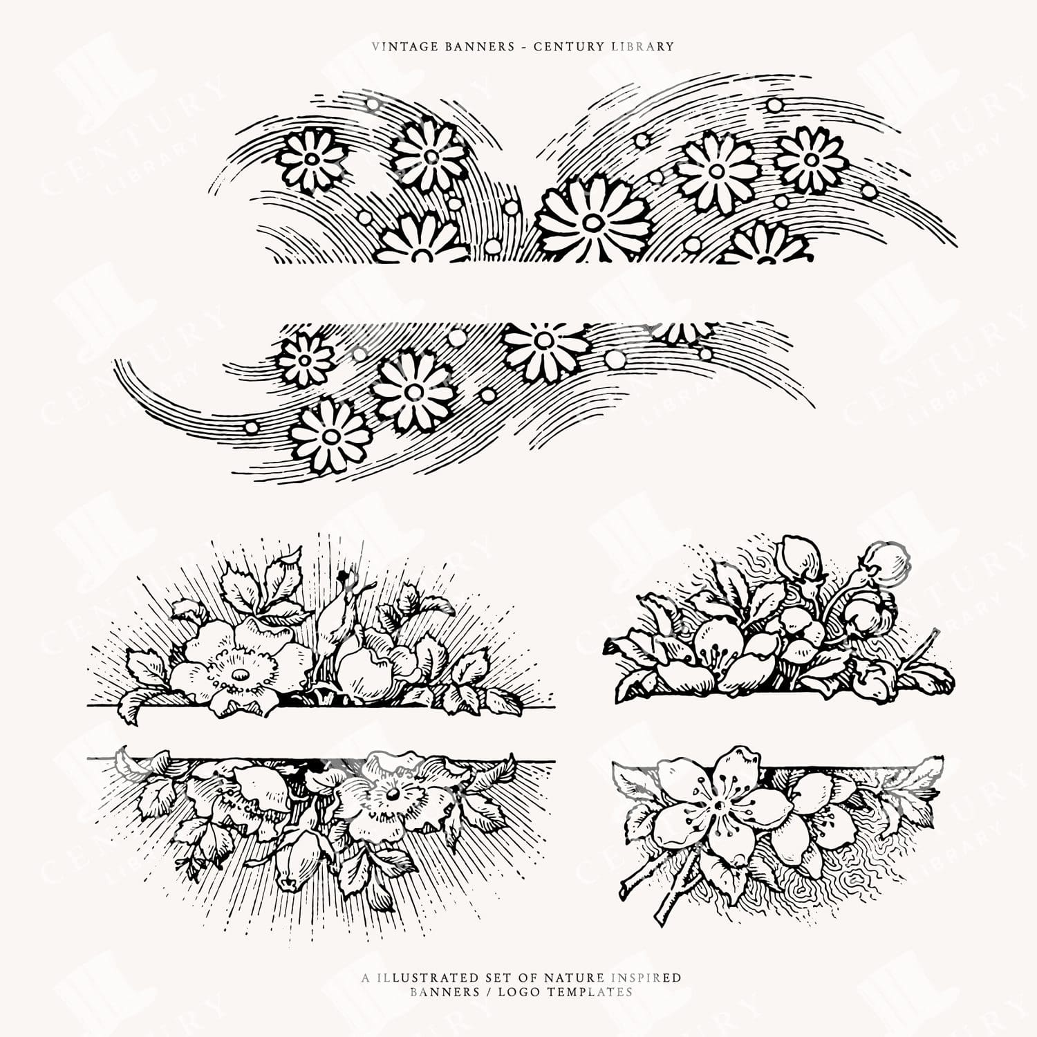 Floral Banner Divider Line Art Illustrations For Wedding Invitations, Logo Design, And More - Clip Art In Png, Svg, And Eps Formats