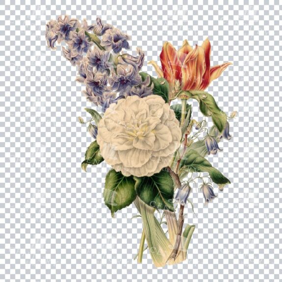 Vintage Bouquet Of Flowers Illustration