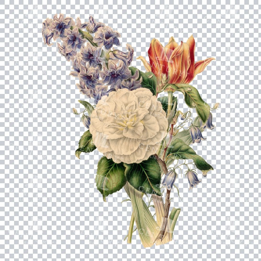 Vintage Bouquet Of Flowers Illustration