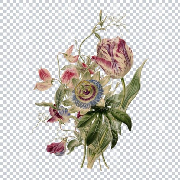 Floral Arrangement On Transparent Background
