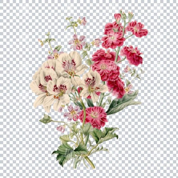 Png Floral Arrangement Restoration