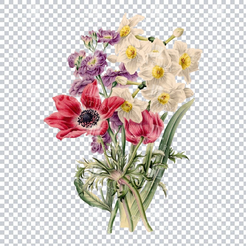 Antique Colour Floral Arrangement Png