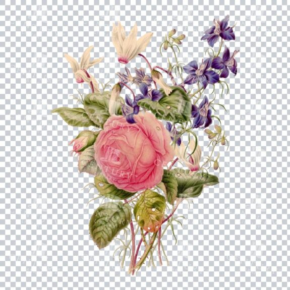 Restored Colour Illustration Of A Floral Bouquet