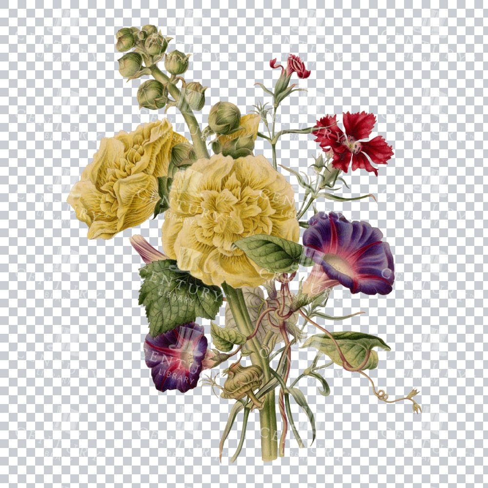 Vintage Png Flower Arrangement In Color