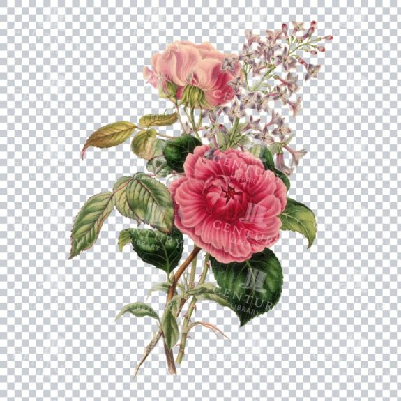 Retro Flower Bouquet Illustration